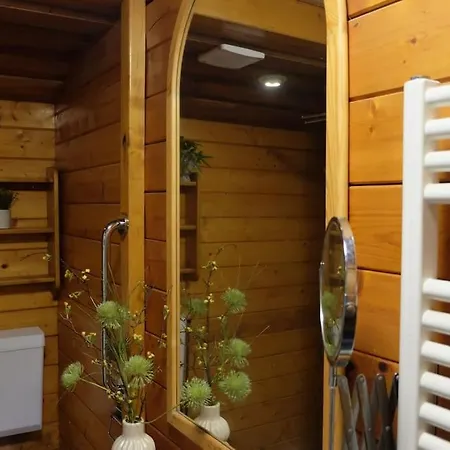 Sfeervol Houten I Bosrijk Veluwe Semesterbostad Putten