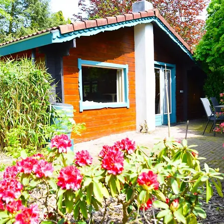 Sfeervol Houten I Bosrijk Veluwe *