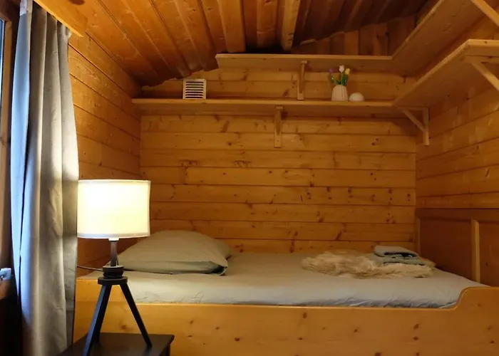 Sfeervol Houten I Bosrijk Veluwe Semesterbostad