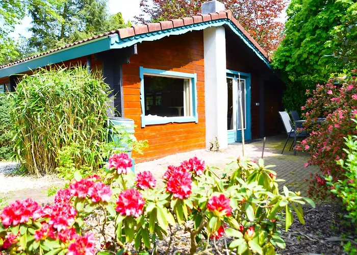 Sfeervol Houten I Bosrijk Veluwe *