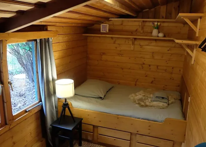 度假居 Sfeervol Houten I Bosrijk Veluwe 皮滕